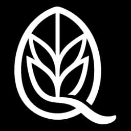 Logotipo del producto Qernel